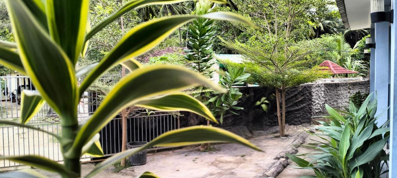 Sakila Homestay Kuta  Luaran gambar