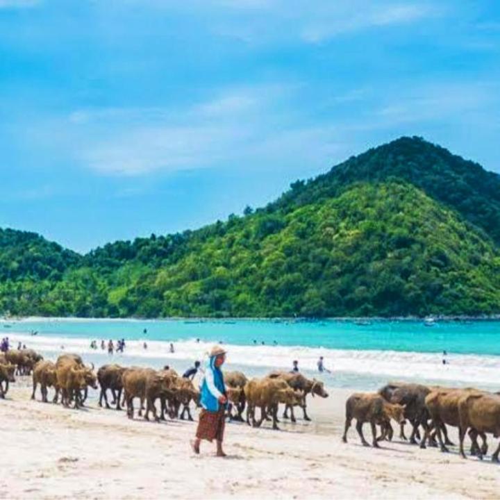 Sakila Homestay Kuta  Luaran gambar