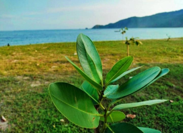 Sakila Homestay Kuta  Luaran gambar